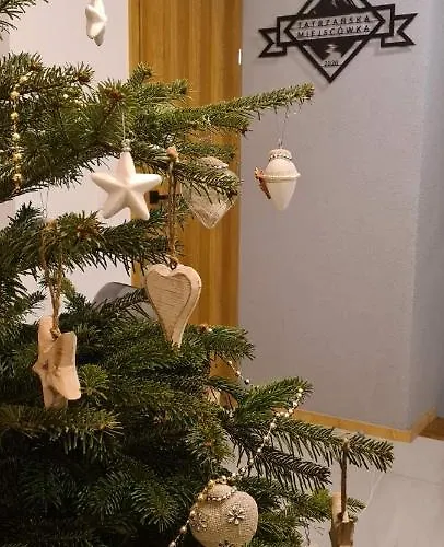 公寓式酒店 Tatrzanska Miejscowka - Centrum 扎科帕内