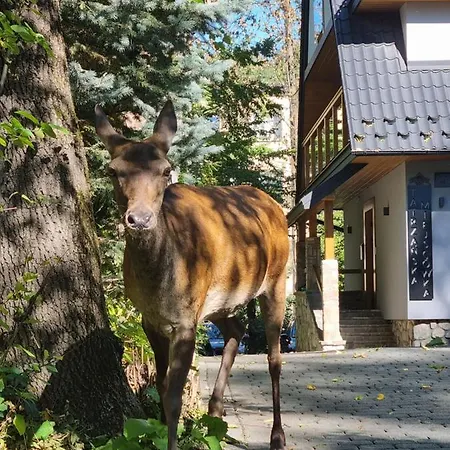 Aparthotel Tatrzanska Miejscowka - Centrum