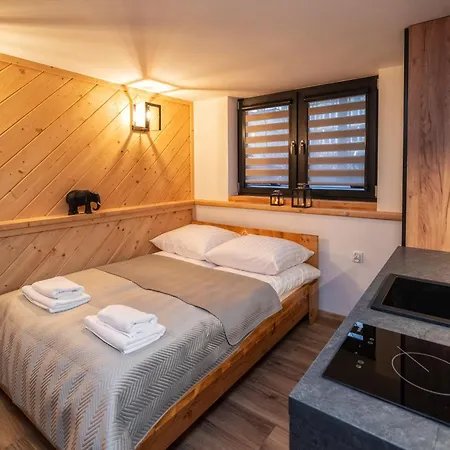 Apartmanhotel Tatrzanska Miejscowka - Centrum